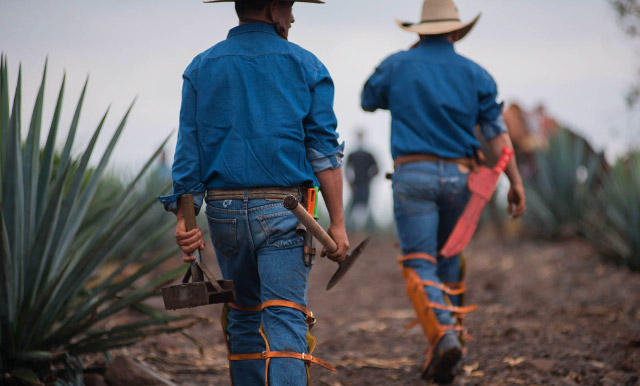 ドン・フリオ場所
