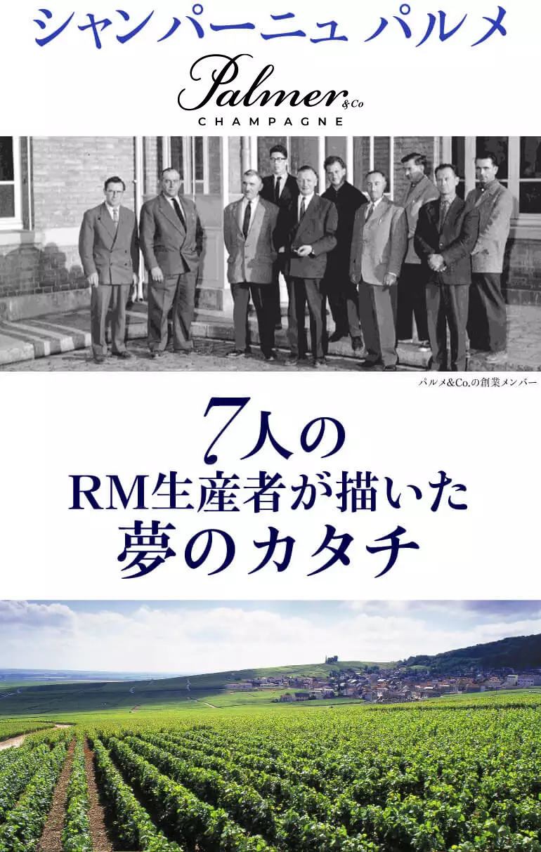 パルメ刷新260601