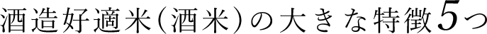 酒造好適米(酒米)の大きな特徴5つ