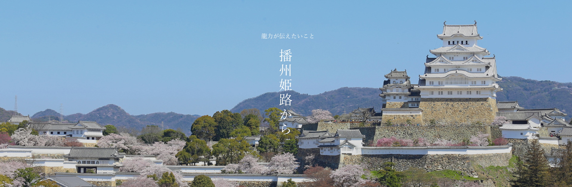 龍力 播州姫路から