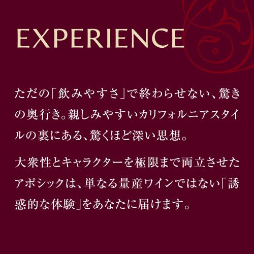 アポシック ダーク 長S | リカマン オンライン