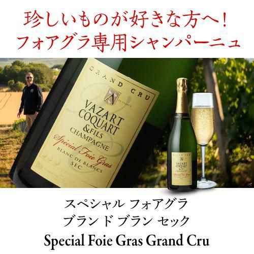 ヴァザール コカール スペシャル フォアグラ ブラン ド ブラン セック