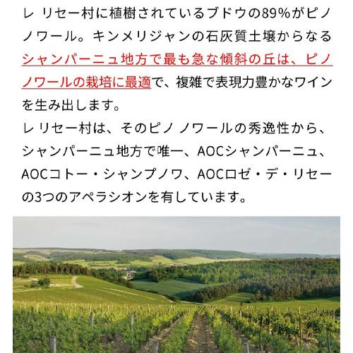 送料無料ドメーヌ アレクサンドル ボネブラン ド ノワール エクストラ