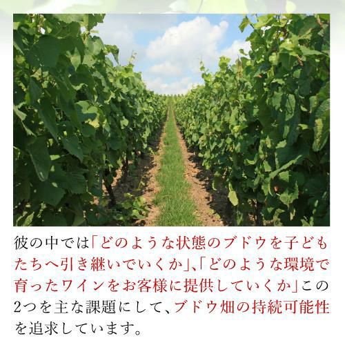 送料無料クリストフ ミッシェルビュイソン 50 グラン クリュ 750ml