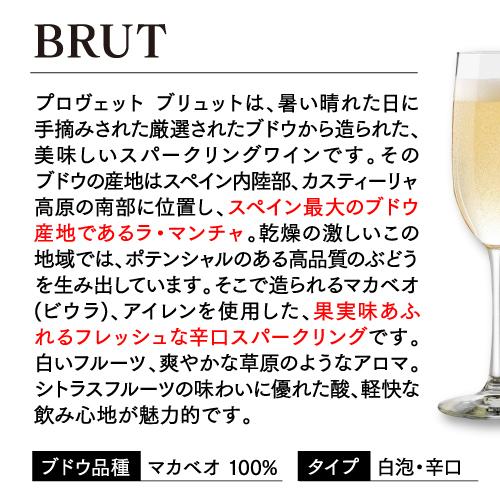 1本あたり675円(税込) 送料無料 スペイン産スパークリングワイン プロ