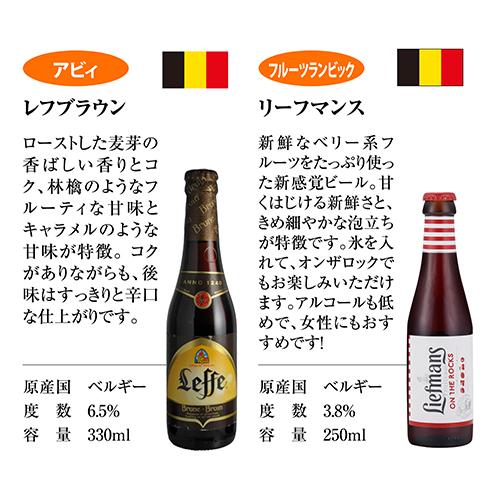 10種のビールタイプ飲み比べセット 10弾 飲み比べ 詰め合わせ 10本