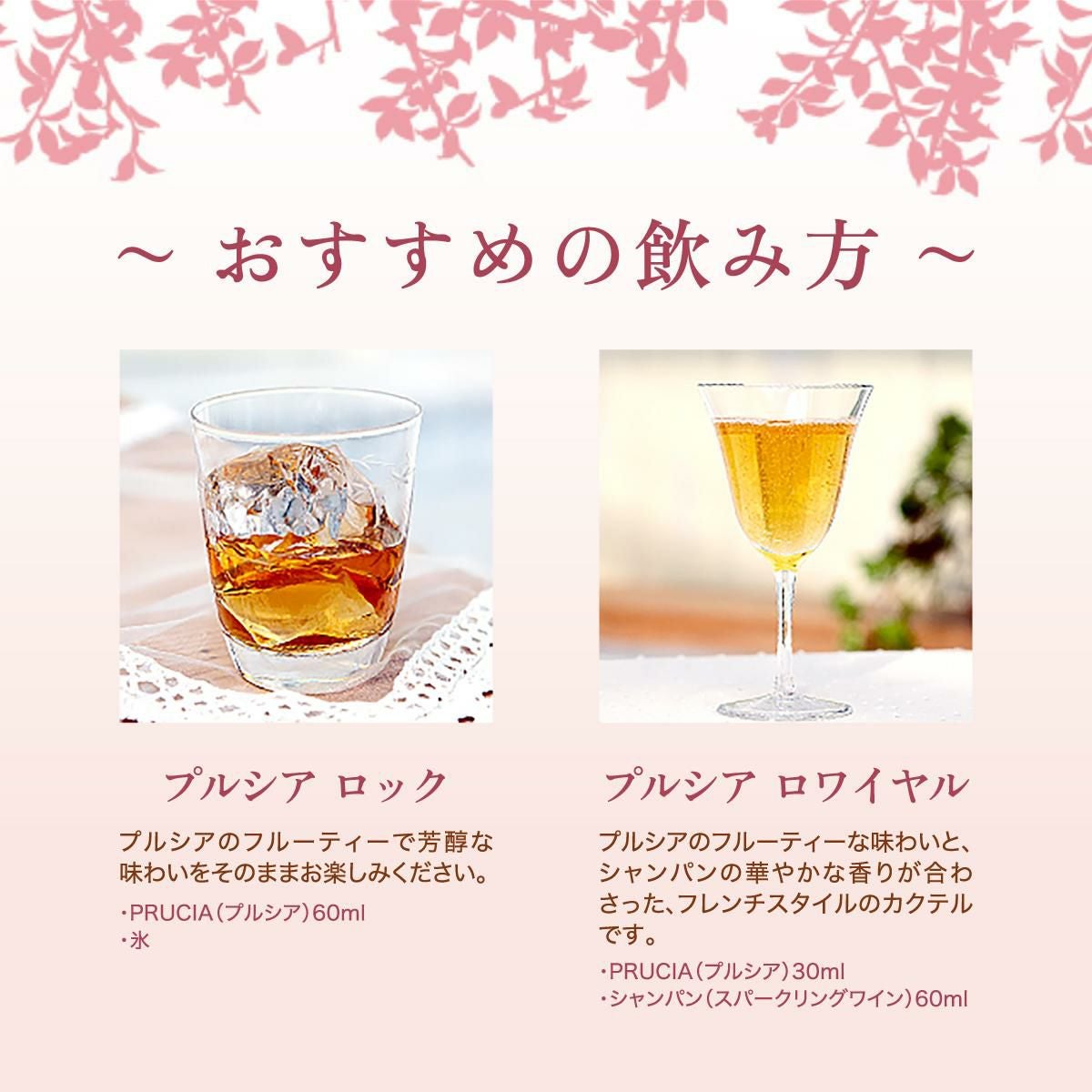 プルシア プラムリキュール 15度 700ml | リカマン オンライン