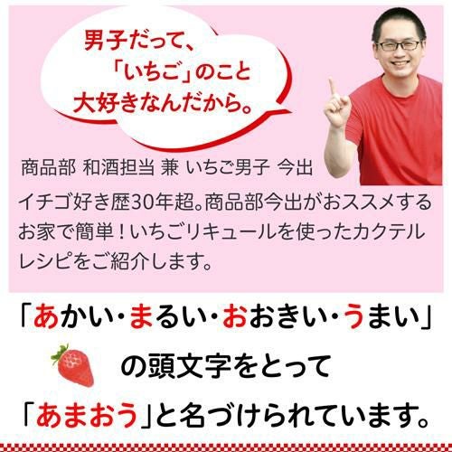 まるごとAMAO 500ml 奈良県 北岡本店 和リキ 5度 あまおう いちご