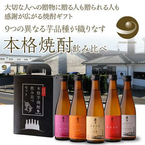 焼酎 芋焼酎 岳宝 飲み比べセット 300ml 5本 セット 鹿児島県 天星酒造