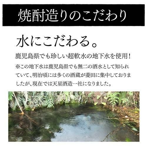 焼酎 芋焼酎 岳宝 飲み比べセット 300ml 5本 セット 鹿児島県 天星酒造