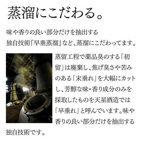 焼酎 芋焼酎 岳宝 飲み比べセット 300ml 5本 セット 鹿児島県 天星酒造