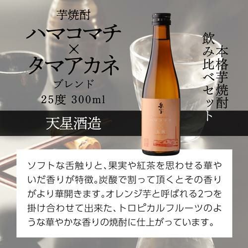焼酎 芋焼酎 岳宝 飲み比べセット 300ml 5本 セット 鹿児島県 天星酒造