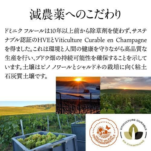 ドミニク フルール ブリュット グランクリュ アンボネイ | リカマン