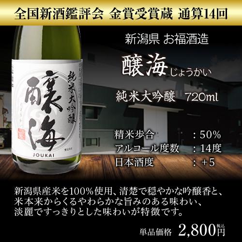 日本酒 飲み比べセット 訳あり品300ml1本付 全国10蔵 純米大吟醸 720ml