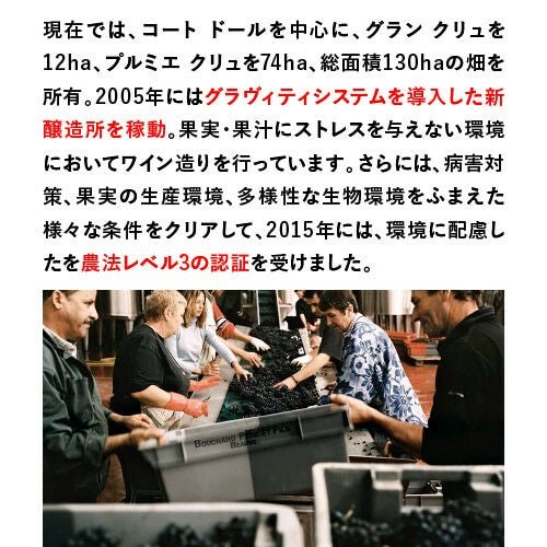 ボ－ヌ グレーヴ ヴィーニュ ド ランファン ジェズュ ドメーヌ 2010