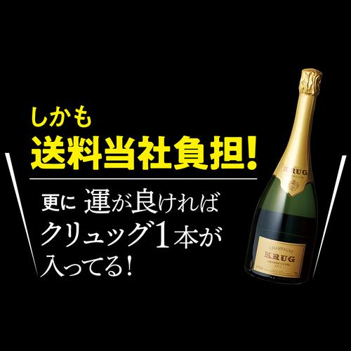 1本/4,800円】送料無料 シャンパンセット！実力派メゾンだけを集めた