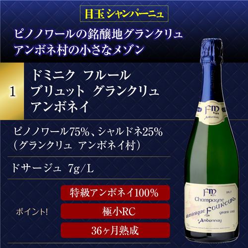 1本/4,800円】送料無料 シャンパンセット！実力派メゾンだけを集めた