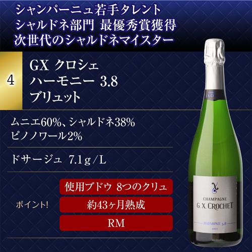 1本/4,800円】送料無料 シャンパンセット！実力派メゾンだけを集めた