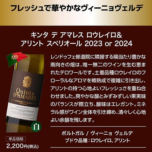 目玉はサンテミリオン最高評価のCHカプ ド フォジェール1本あたり1,405