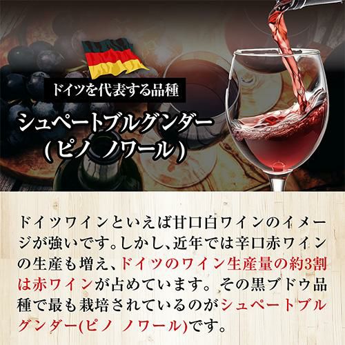 1本あたり3,960円(税込) 送料無料ドイツ辛口赤ワインセット 6弾 750ml