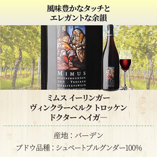 1本あたり3,960円(税込) 送料無料ドイツ辛口赤ワインセット 6弾 750ml