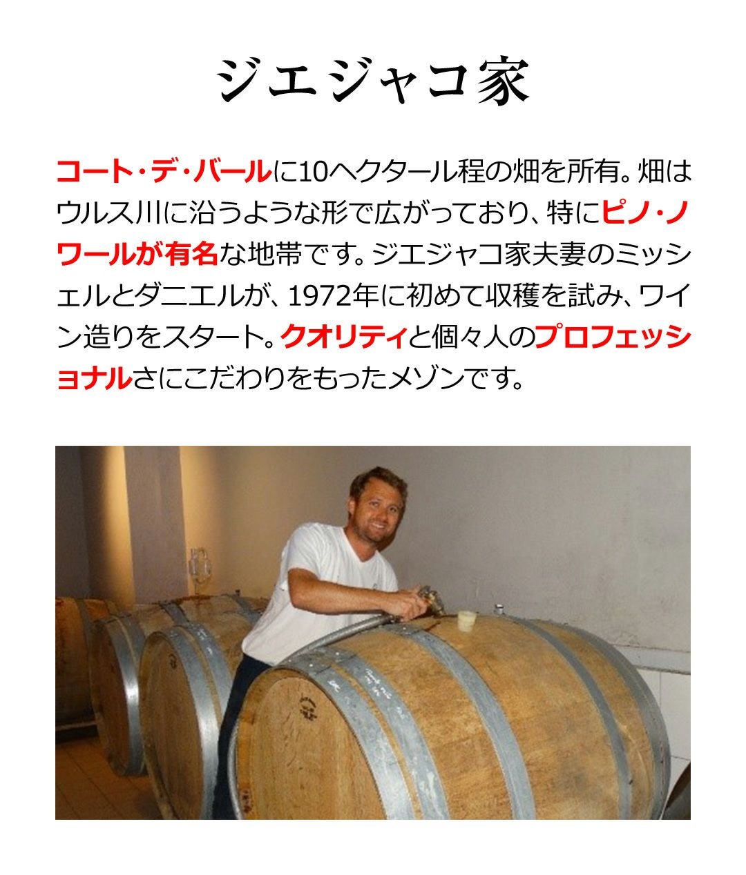 ジエジャコデクロ フレール ブリュット NV 750mlフランス コート デ