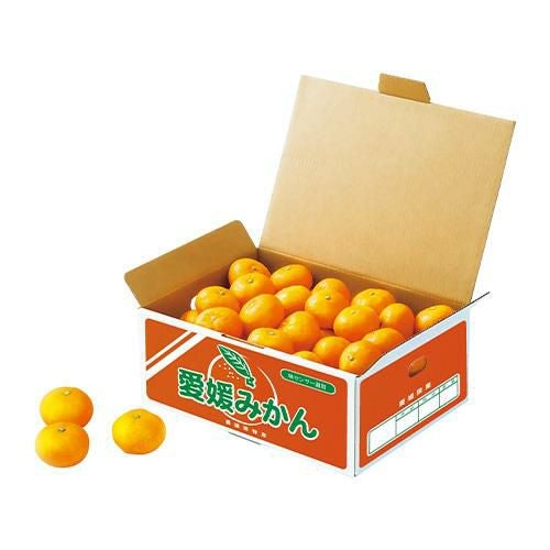 みかん 愛媛みかん B13-3【常温便】【簡易包装】【承り期間:12/15まで】【お