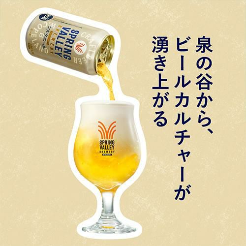 48本　スプリングバレー　キリンビール　2ケース　まとめ売り　飲み比べ 計48本(2ケース) キリン スプリングバレー豊潤496 350ml×24本 シルク