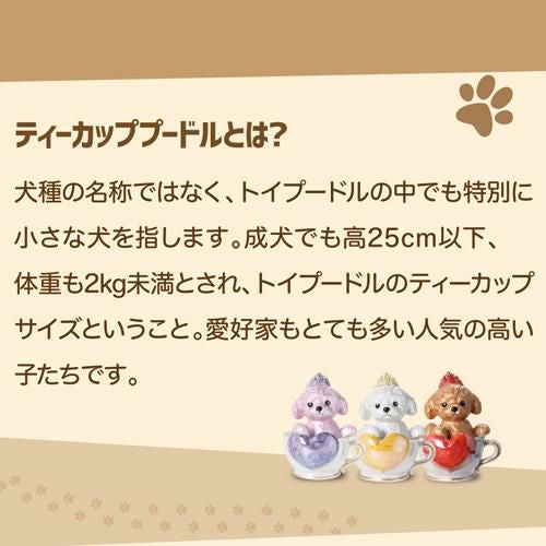 送料無料 正規品 ブランデー 箱付き ティーカッププードル デキャンタ