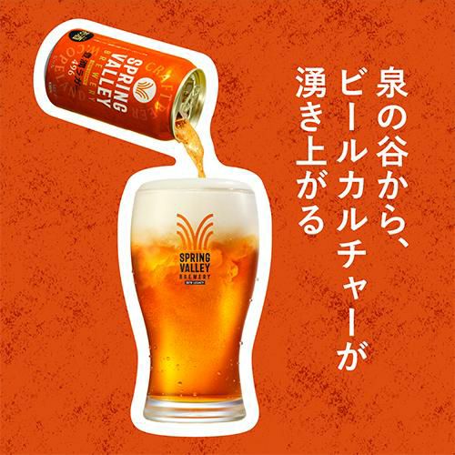 キリン スプリングバレー 豊潤496 500ml×24本 送料無料 1本あたり325円