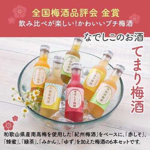 チョーヤ ゴールドエディション 500ml 19度 梅酒 CHOYA 金箔入り梅酒