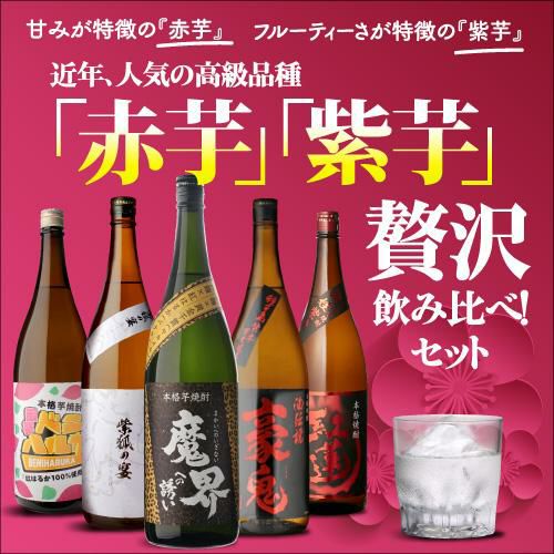 芋焼酎 赤芋＆紫芋 フルーティー焼酎 飲み比べセット 1800ml 5本いも