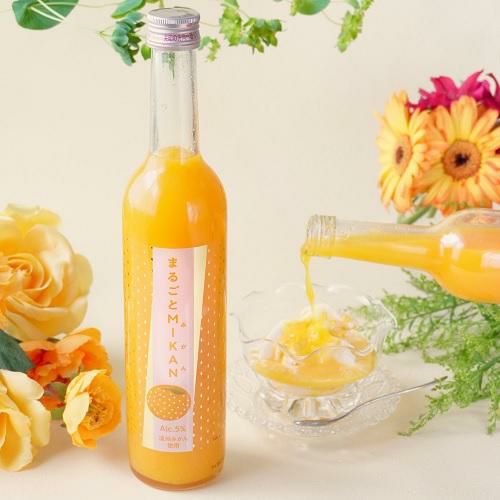まるごとMIKAN みかん 500ml リキュール | リカマン オンライン