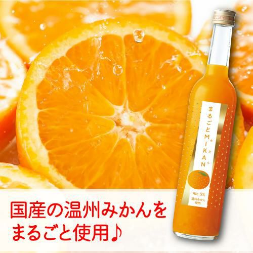 まるごとMIKAN みかん 500ml リキュール | リカマン オンライン