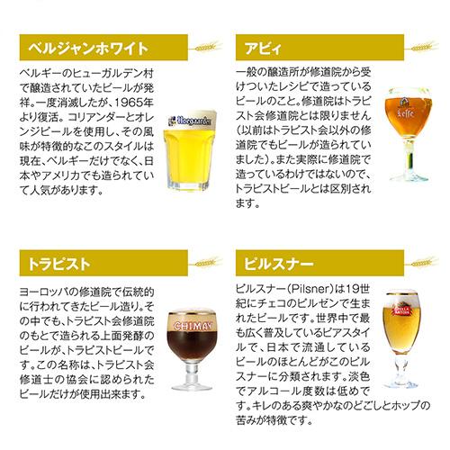 ベルギービール10種10本 飲み比べ 詰め合わせ 送料無料 輸入ビール