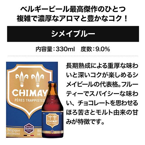 ベルギービール10種10本セット 48弾 飲み比べ 詰め合わせ 送料無料