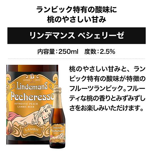 ベルギービール10種10本セット 48弾 飲み比べ 詰め合わせ 送料無料