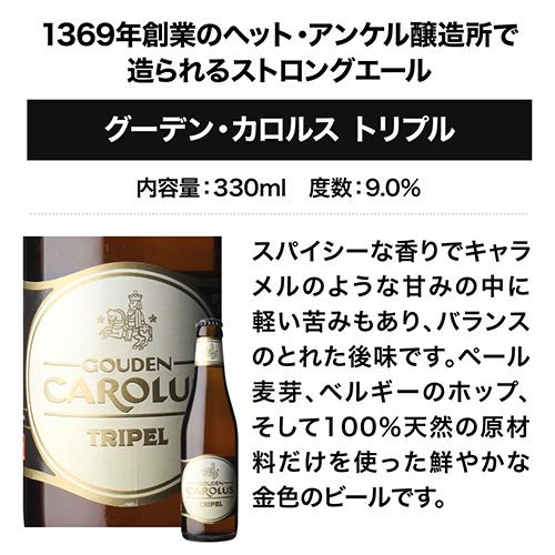 ベルギービール10種10本セット 48弾 飲み比べ 詰め合わせ 送料無料