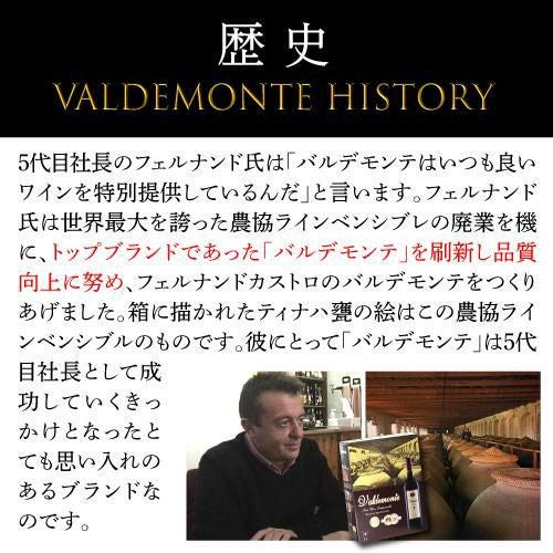 箱ワイン バルデモンテ ダーク レッド 3L スペイン 赤ワイン 辛口