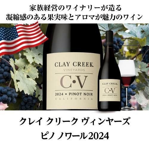 1本あたり2,700円(税込) 送料無料 一押しピノノワール赤4本セット