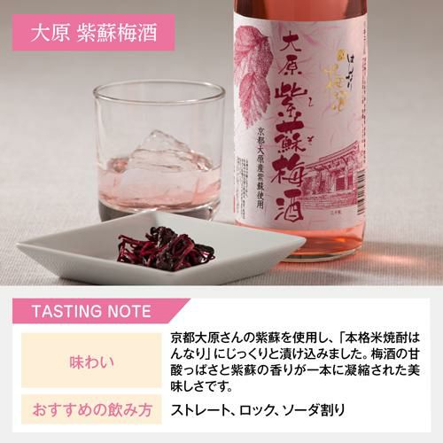 梅酒 はんなり京梅酒 180ml×5本 京都府 北川本家梅酒セット 飲み比べ