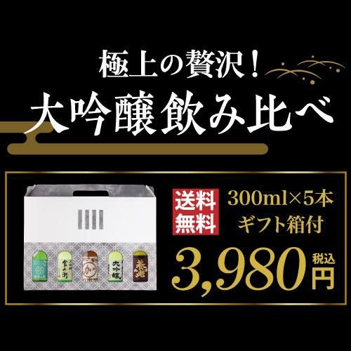 日本酒 飲み比べ 金賞受賞蔵 大吟醸 300ml 5本 ギフト箱入り 送料無料