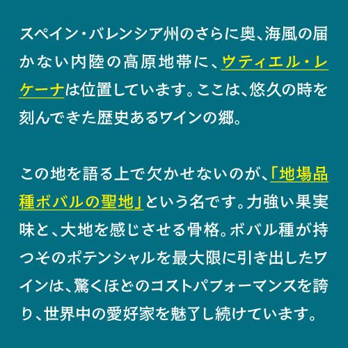 パラシオ デ ニダ ロゼコヴィナス コープ V 750mlスペイン バレンシア