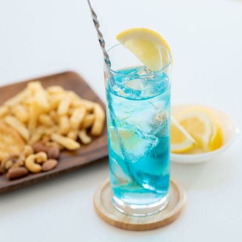 網走ビール オホーツク 流氷塩レモンサワーの素 25度 500ml北海道