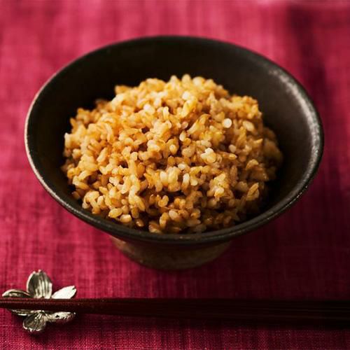幸南食糧 こだわりの玄米ごはん おくさま印 120g 48個 レトルトご飯