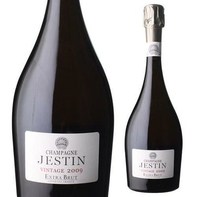 エルヴェ ジェスタンエクストラブリュット 2009 750ml並行品 RM ヴァレ 