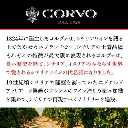 コルヴォ ロゼ ドゥーカ ディ サラパルータ 750ml イタリア シチリア