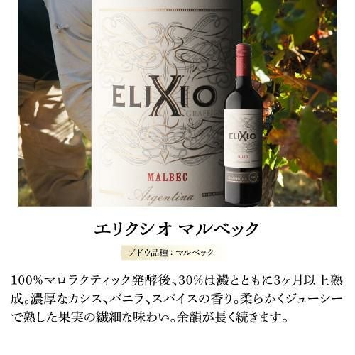エリクシオ マルベックグラフィーニャ 750mlアルゼンチン サン フアン