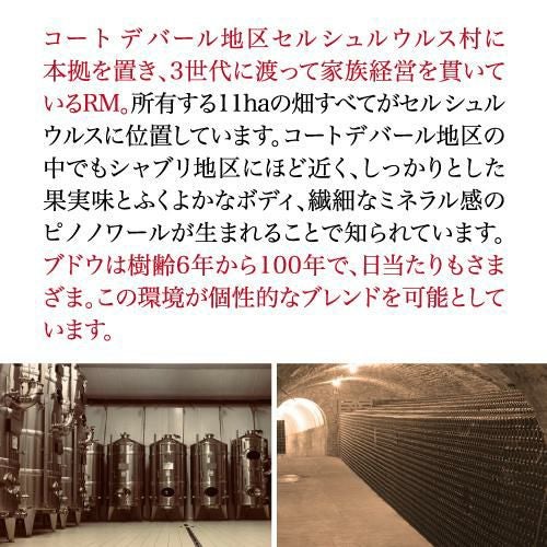 送料無料シャンパーニュ ジャン サンドラントラディション ブリュット