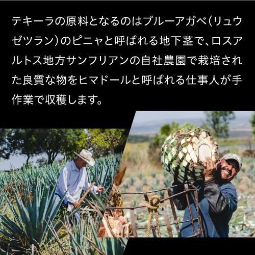 メキシコ テキーラ 記念品 Licor de Agave El Ciervo カヴ アガベ テキーラ シルバー 750ml 38度 アガベ メキシコ